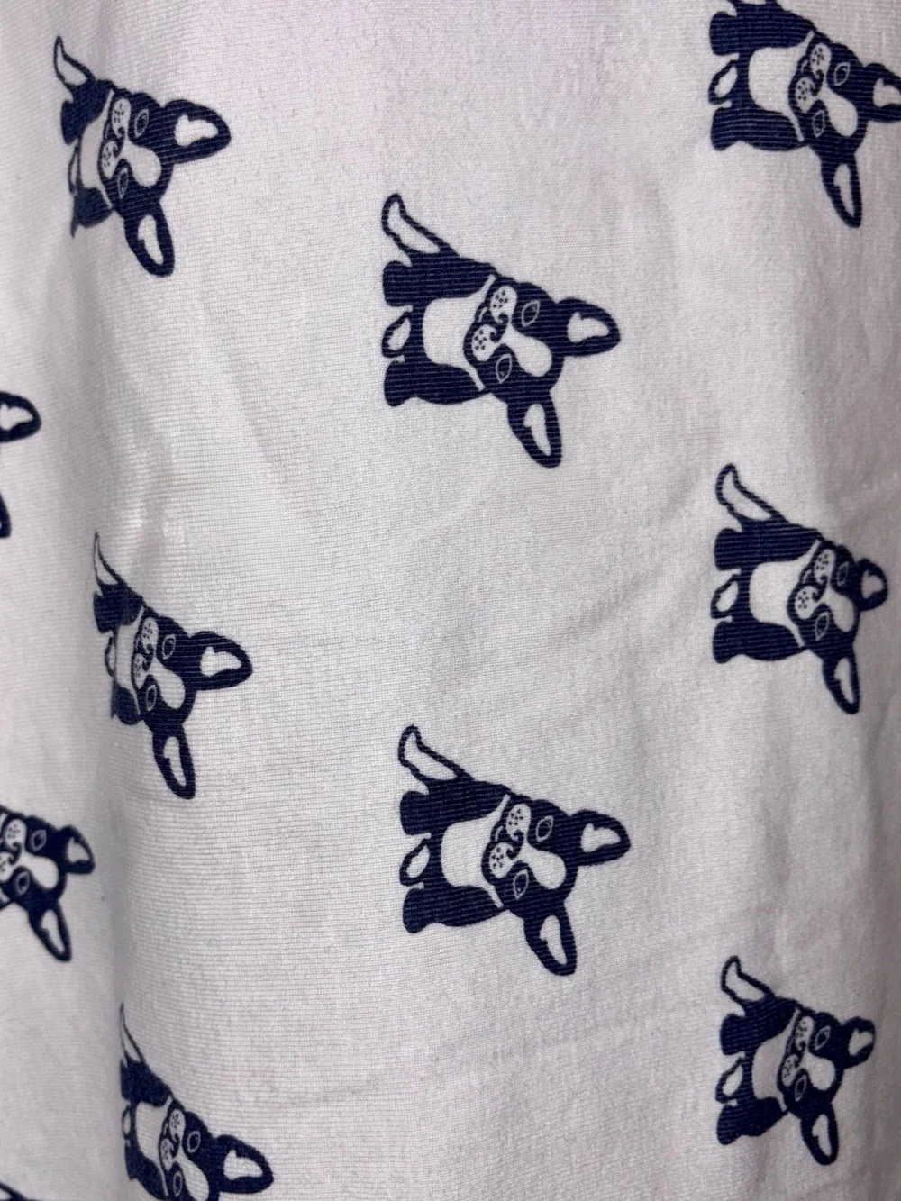 Monica + Andy Dog Blanket